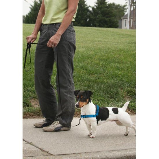 Petsafe Anti-Trek Hondentuig Easy Walk ® Deluxe 2 Petsafe Anti-Trek Hondentuig Easy Walk ® Deluxe - Afbeelding 2
