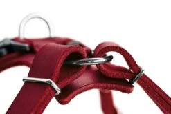 Hunter Hondentuig Aalborg Rood -Huisdier Product Winkel image 2043