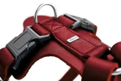 Hunter Hondentuig Aalborg Rood -Huisdier Product Winkel image 2044