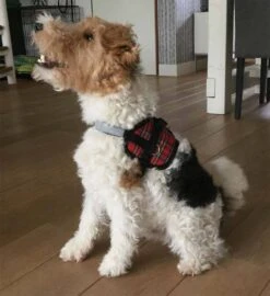 Nieuwe Producten -Huisdier Product Winkel image 2049