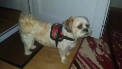 Doxtasy Hondentuig Survival Harness Tartan Red -Huisdier Product Winkel image 2052