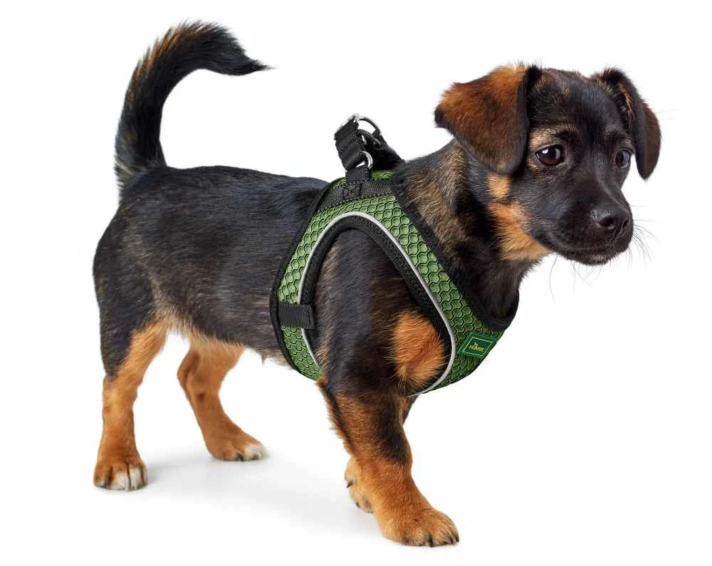 Hunter Hondentuig Hilo Comfort Linde Groen 2 Hunter Hondentuig Hilo Comfort Linde Groen - Afbeelding 2