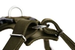 Hunter Hondentuig Aalborg Olive -Huisdier Product Winkel image 2066