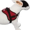 Doxtasy Hondentuig Survival Harness Red