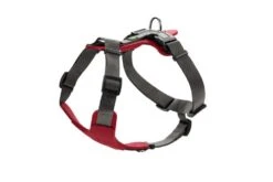Hunter Hondentuig Aalborg Mixed Rood