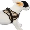 Doxtasy Hondentuig Survival Harness Scottish Beige