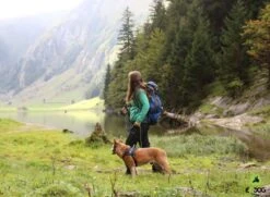 EQDOG Hondentuig Classic Harness Zwart -Huisdier Product Winkel image 2106