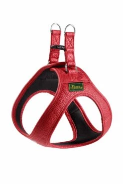 Nieuwe Producten 16 Hunter Hondentuig Love