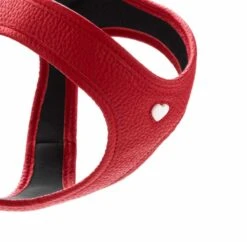 Hunter Hondentuig Love -Huisdier Product Winkel image 2114