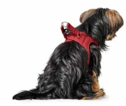 Hunter Hondentuig Love -Huisdier Product Winkel image 2115