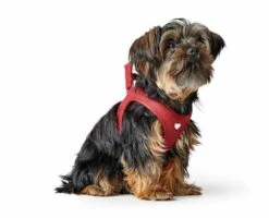 Hunter Hondentuig Love -Huisdier Product Winkel image 2117