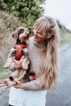 Hunter Hondentuig Love -Huisdier Product Winkel image 2120