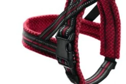 Hunter Noors Hondentuig Hilo Rood -Huisdier Product Winkel image 2148