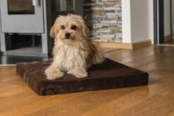 TrendPet Hondenkussen VitaMeDog Bruin