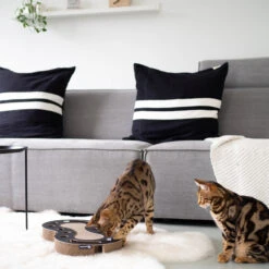 District70 Kattenspeelgoed Snake Zwart