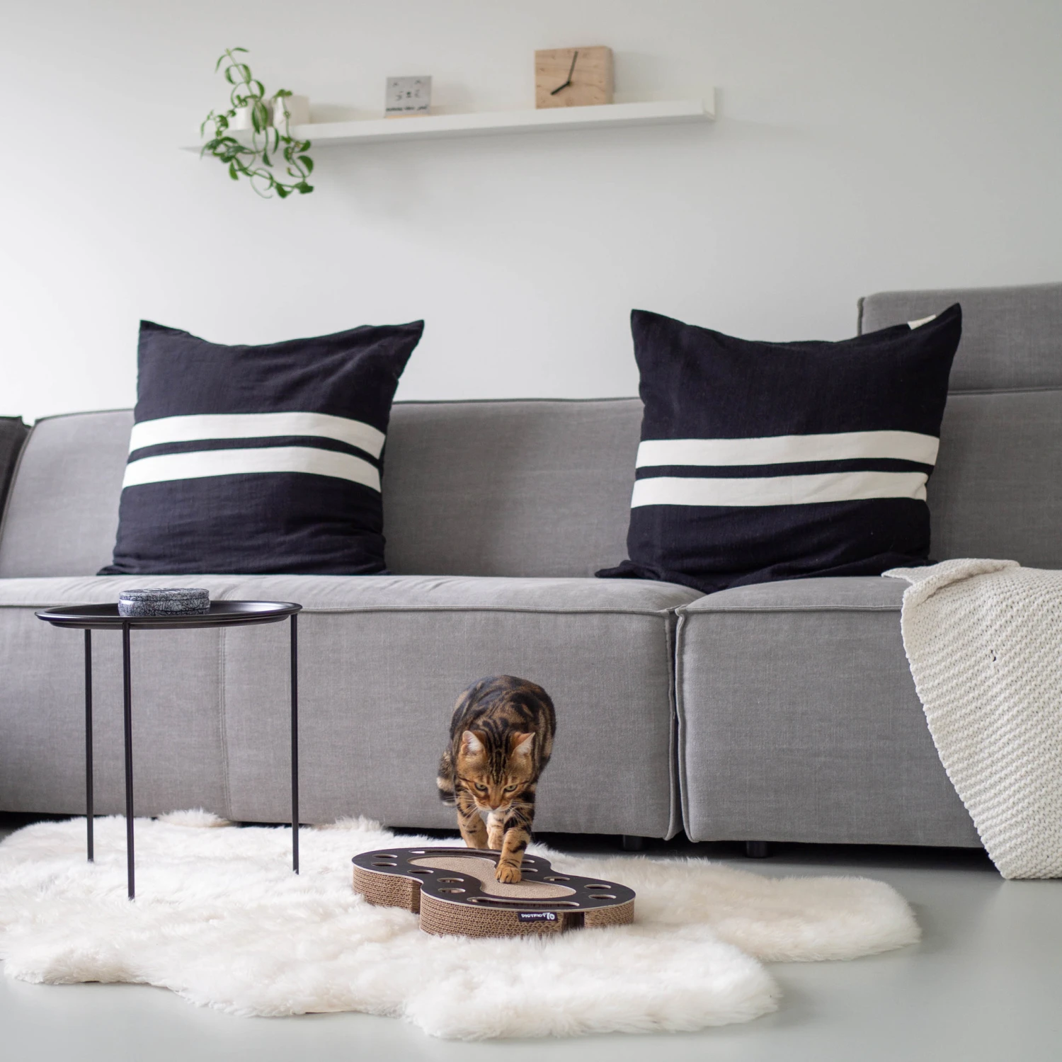 District70 Kattenspeelgoed Snake Zwart 2 District70 Kattenspeelgoed Snake Zwart - Afbeelding 2