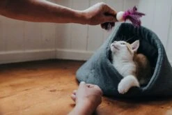 Hunter Kattenmand Samara 5 Hunter Kattenmand Samara -Huisdier Product Winkel image 2283