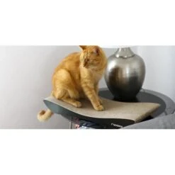 MyKotty Krabmeubel TOBI Zwart -Huisdier Product Winkel image 2293