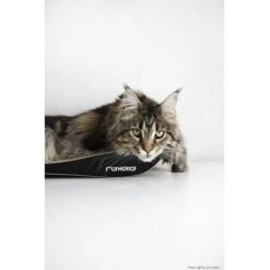 MyKotty Krabmeubel TOBI Zwart -Huisdier Product Winkel image 2294