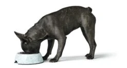 Hunter Drinkbak Of Voerbak Blies -Huisdier Product Winkel image 2300