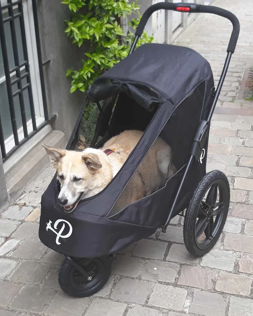 Petique Hondenbuggy Breeze 2 Petique Hondenbuggy Breeze - Afbeelding 2