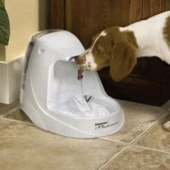 Nieuwe Producten -Huisdier Product Winkel image 2330