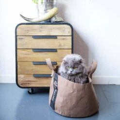 Nieuwe Producten -Huisdier Product Winkel image 2356