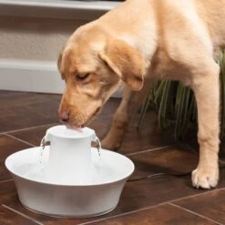 Petsafe Drinkfontein Drinkwell Avalon