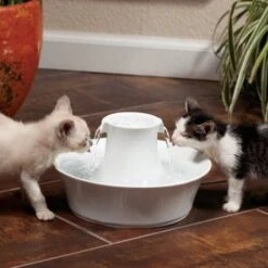 Petsafe Drinkfontein Drinkwell Avalon -Huisdier Product Winkel image 2364