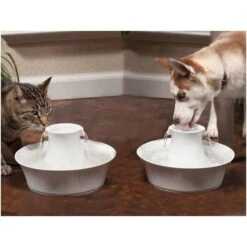 Petsafe Drinkfontein Drinkwell Avalon -Huisdier Product Winkel image 2365