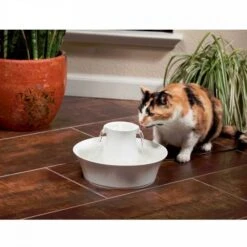 Petsafe Drinkfontein Drinkwell Avalon -Huisdier Product Winkel image 2366