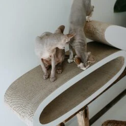 District70 Krabmeubel Oval Office -Huisdier Product Winkel image 2374