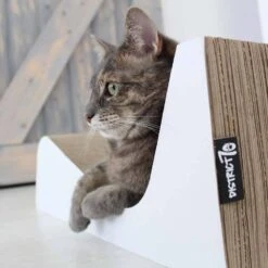 District70 Krabmeubel Double Wave 11 District70 Krabmeubel Double Wave -Huisdier Product Winkel image 2381