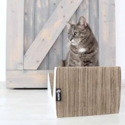 District70 Krabmeubel Double Wave 14 District70 Krabmeubel Double Wave -Huisdier Product Winkel image 2384