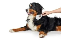 Hunter Hondenborstel Spa Zelfreinigend -Huisdier Product Winkel image 2398