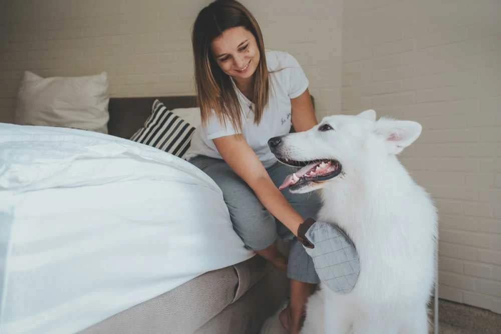 Hunter Verzorgingshandschoen Spa 2 Hunter Verzorgingshandschoen Spa - Afbeelding 2