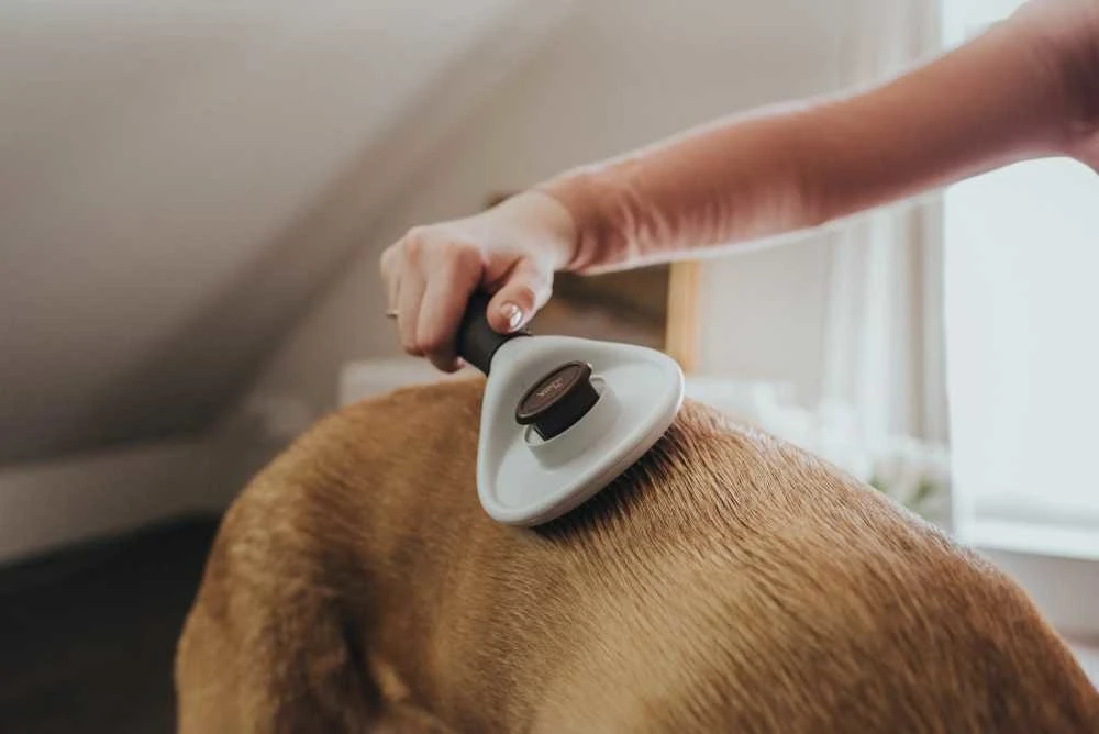 Hunter Plukborstel Spa Zelfreinigend 3 Hunter Plukborstel Spa Zelfreinigend - Afbeelding 3