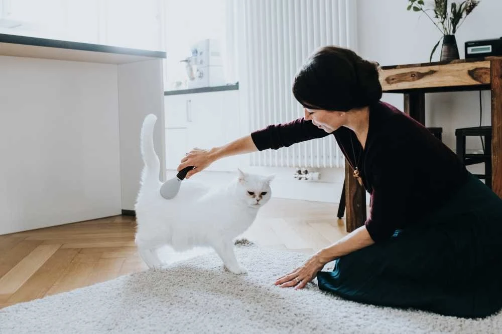 Hunter Hondenborstel Spa Extra Zacht 3 Hunter Hondenborstel Spa Extra Zacht - Afbeelding 3