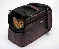 Sleepypod Draagtas Voor Huisdieren Atom Dark Chocolate -Huisdier Product Winkel image 2445