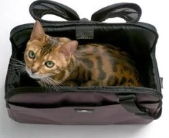 Sleepypod Draagtas Voor Huisdieren Atom Dark Chocolate -Huisdier Product Winkel image 2447