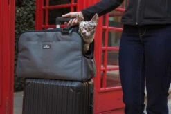 Sleepypod Draagtas Voor Huisdieren Atom Jet Black -Huisdier Product Winkel image 2455