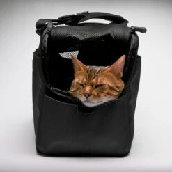Sleepypod Draagtas Voor Huisdieren Atom Jet Black -Huisdier Product Winkel image 2457