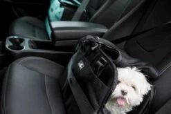 Sleepypod Draagtas Voor Huisdieren Atom Jet Black -Huisdier Product Winkel image 2459