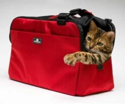 Sleepypod Draagtas Voor Huisdieren Atom Strawberry Red -Huisdier Product Winkel image 2483