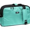 Sleepypod Draagtas Voor Huisdieren Atom Robin Egg Blue