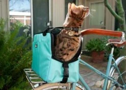 Sleepypod Draagtas Voor Huisdieren Atom Robin Egg Blue -Huisdier Product Winkel image 2492