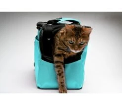Sleepypod Draagtas Voor Huisdieren Atom Robin Egg Blue -Huisdier Product Winkel image 2494