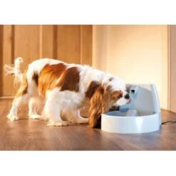 Petsafe Drinkfontein Drinkwell Original