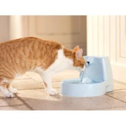 Nieuwe Producten -Huisdier Product Winkel image 2535