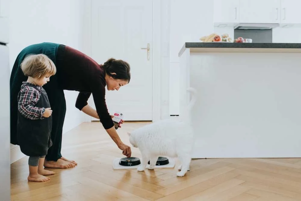 Hunter Voerbak Kat Moulins Zwart 2 Hunter Voerbak Kat Moulins Zwart - Afbeelding 2